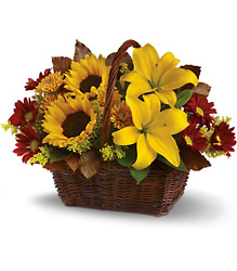 Golden Days Basket Flower Power, Florist Davenport FL